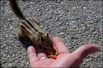 Qu'en un seul mot, Messire, vous puissiez l'adomeschier !