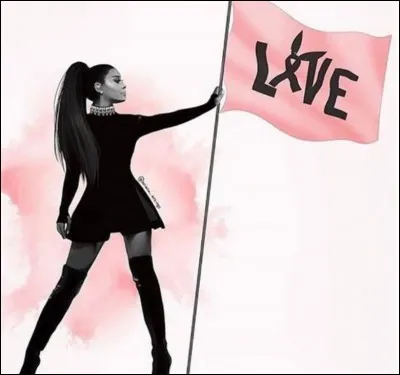 Dans quelle ville a eu lieu un attentat lors du concert d'Ariana Grande ?