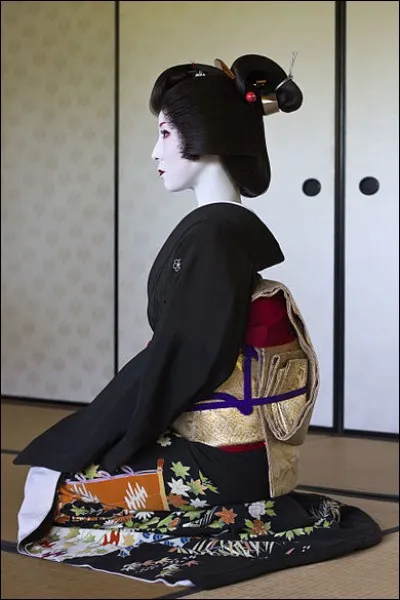 Quelle est la traduction du nom donné à ces charmantes femmes que sont les "geishas" ?