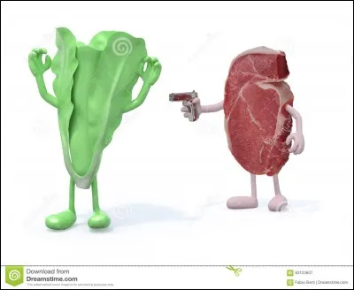 Vous aimez plutôt...