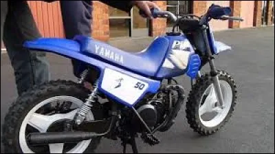 Pour les plus petits, il existe des petites motos, comme celle-ci.
