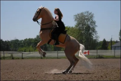 Notre talon doit être ...