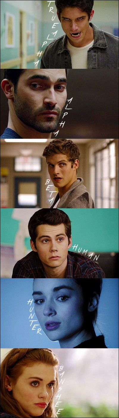 Qui préfères-tu dans "Teen Wolf" ?