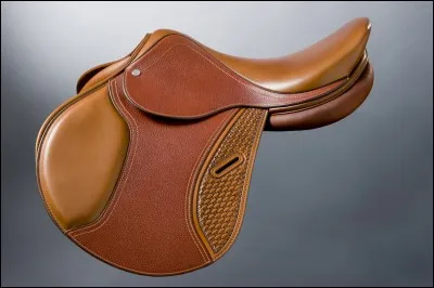 Quelle partie ne fait pas partie de la selle ?
