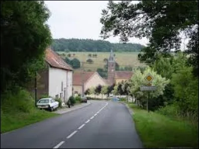 Nous arrivons maintenant à Breidenbach. Village du Grand-Est du Pays de Bitche, dans le parc naturel régional des Vosges du Nord, il se situe dans le département ...