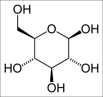 Le recours à l'étymologie est d'une grande utilité pour les scientifiques. Faites appel à vos souvenirs pour trouver le suffixe qui indique en chimie, le nom des glucides.