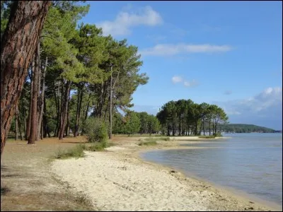 Quelle est l'origine de la ville de Biscarosse ?