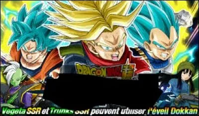 Quel est le nom du portail de la photo ?