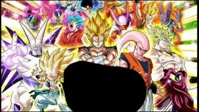 Quel est le nom du portail de la photo ?