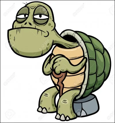 En élevage, jusqu'à quel âge peut vivre une tortue terrestre bien soignée ?