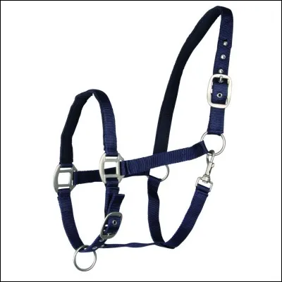 Quelle partie n'est pas du licol?