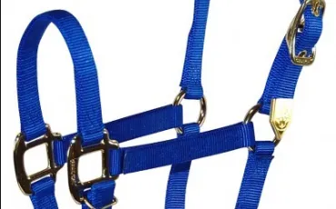 Quiz Galop 1