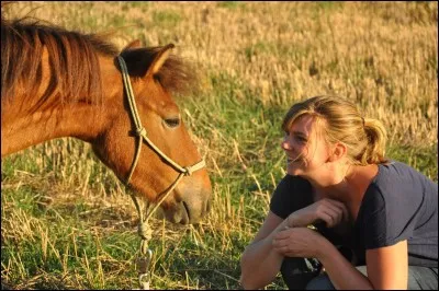 Quelle est l'humeur du poney ?