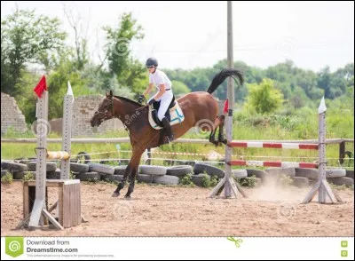 A la réception tu dois ...