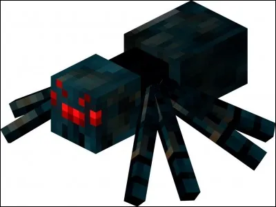 On calme les araignées dans la nuit avec :