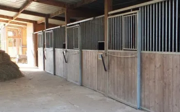 Quiz Galop 4