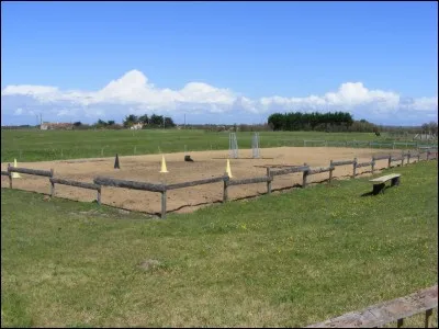 Où travaille-t-on un cheval le moins souvent ?