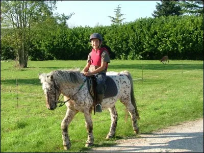 Comment se balader en extérieur ?