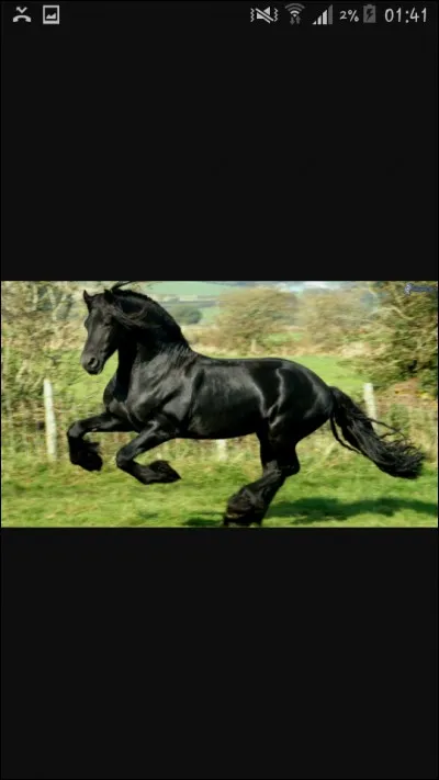 Et que penses-tu de celle-là ?