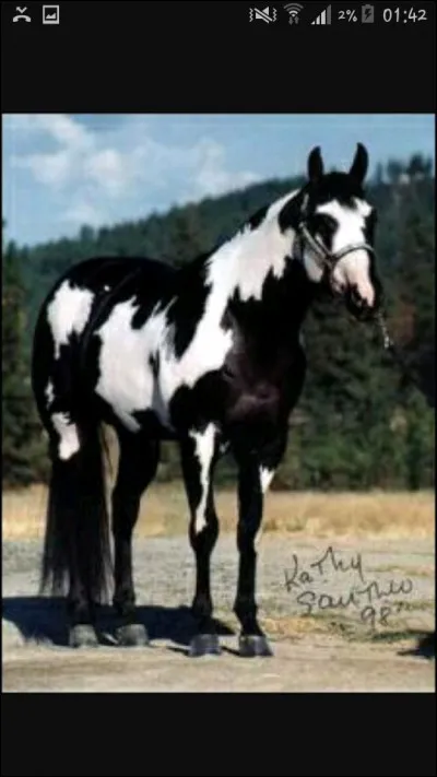 De quel couleur est sa robe ?