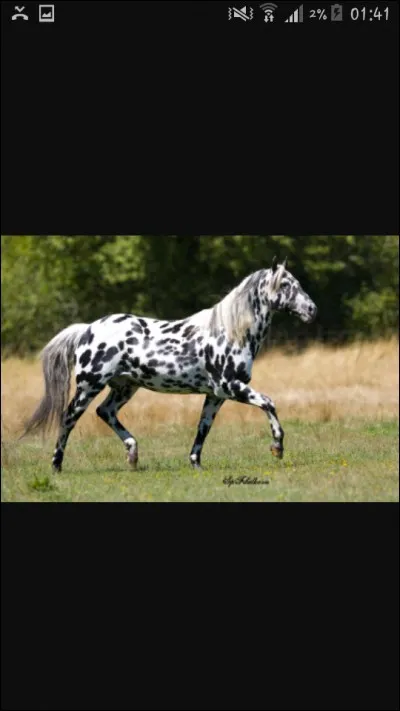 Je me demande bien quelle est cette robe ?