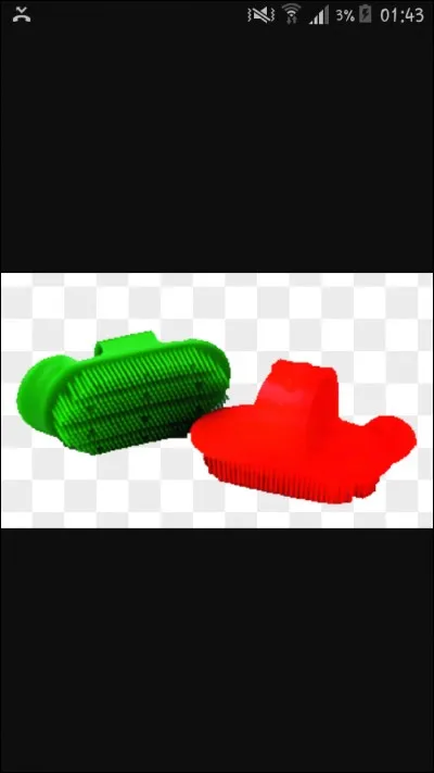 Comment appelle-t-on cette brosse ?