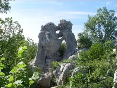 Il ne porte pas le nom de forêt ce petit bois d'Ardèche.