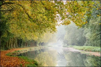 'Le Grand Meaulnes' a dû arpenter cette forêt proche de Romorantin.