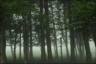 Située dans le centre-sud du Massif central. Son nom est le même que celui d'une certaine 'Lucie' et d'un certain 'Raymond'.