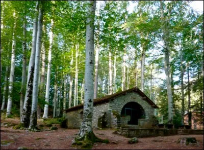 C'est sur l'île de beauté que vous pourrez vous y balader.