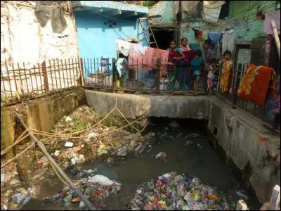 Combien d'habitants de l'Inde font leurs besoins dans la nature faute de toilettes à la maison et faute de W.C. public ?