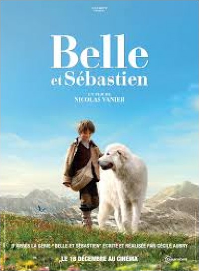 Dans "Belle et Sébastien" quelle race de chien est Belle ?