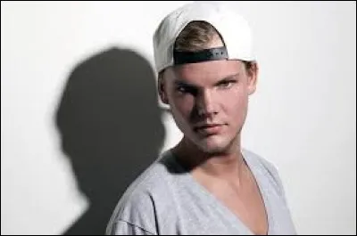 Le DJ Avicii est originaire de Norvège.