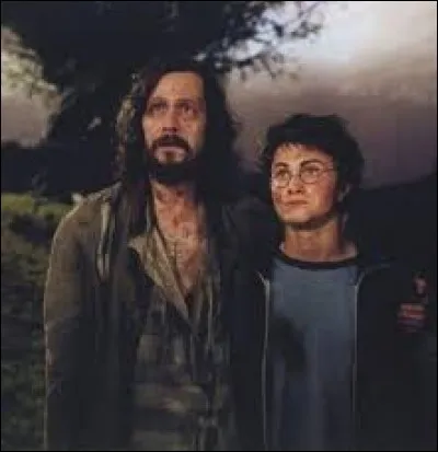 Que propose Sirius à Harry ?