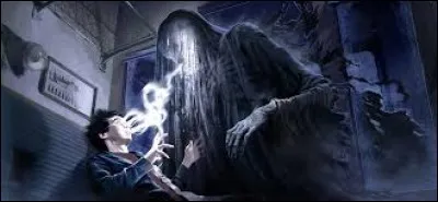 Qu'entend Harry avant de s'évanouir ?