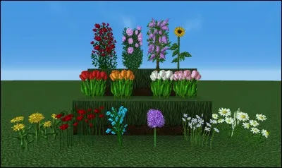 Combien y a-t-il de colorants dans Minecraft ?