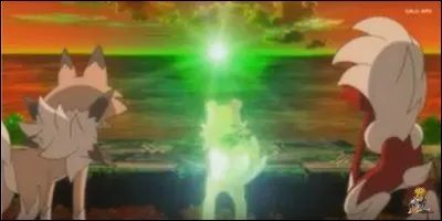 Sont-ils de type Feu ?