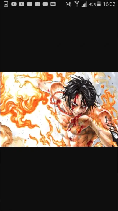 Ace est dans l'équipage de :