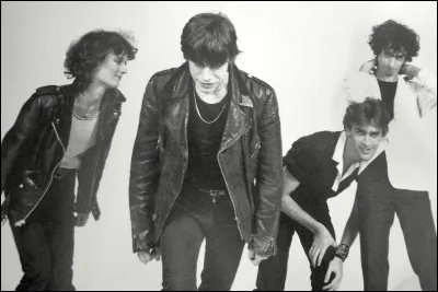 Aimez-vous le groupe Téléphone ?