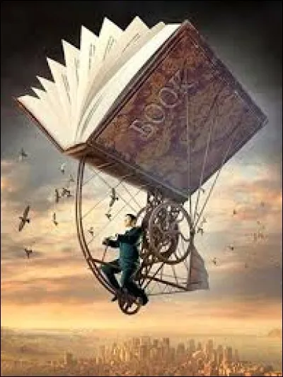 Quel est votre avis à propos de la littérature ?