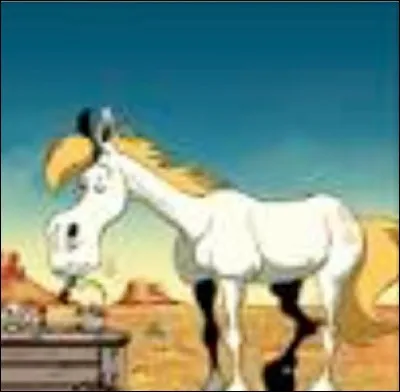 &Agrave; qui appartient ce cheval ?