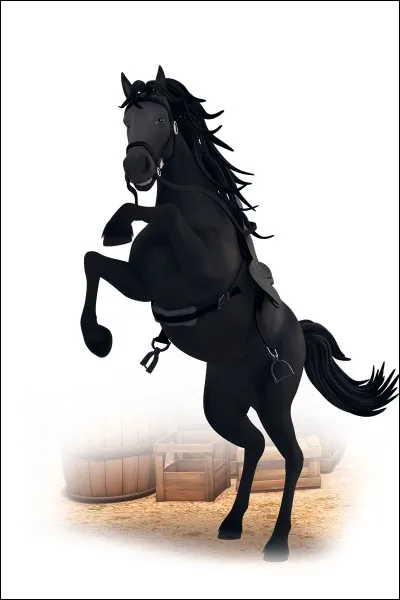 Comment s'appelle ce cheval ?Qui est son/sa cavalier(e) ?
