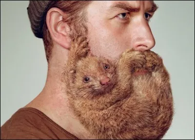 Elle a un poil dans la main.