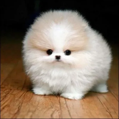 Femme de mauvais poil.