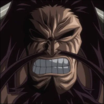 Quelle est la vérité sur Kaido ?