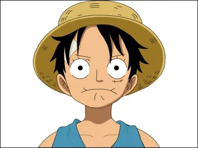 À cause de qui Luffy a-t-il eu sa grande cicatrice ?