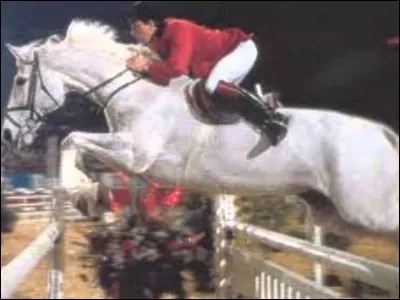 Qui sont ses propriétaires ?