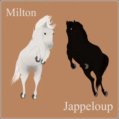 Et enfin, il était champion de ...