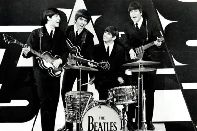 Si tu pouvais jouer d'un instrument de musique, tu choisirais...