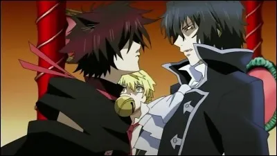 Qui a volé l'il gauche de Break ?